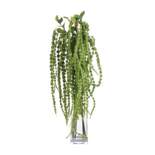 Amaranthus Arrangement (Set of 3)