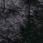 Shaggy Rug High Pile NAVARRA Black Polyester-980338810