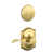 Bright Brass