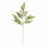MAIDENHAIR FERN STEM