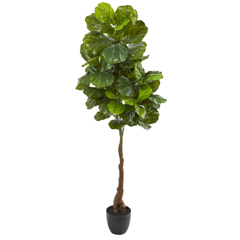 64'' Faux Fiddle Leaf Fig Tree in Stone Pot