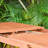 Amazonia Outdoor Patio 11pc 100%  FSC Certified Wood Dining Set-1789224265