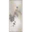 Plants & Flowers Print by Studio L57 Nouvelle-424404518
