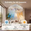 LED Flush Mount