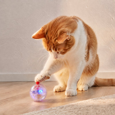 Boule pour chat clignotante à DEL - Boule lumineuse interactive de 1,4 po activée par le mouvement avec lumière tricolore, arrêt automatique, à piles, pour chats d'intérieur et chatons (transparent)