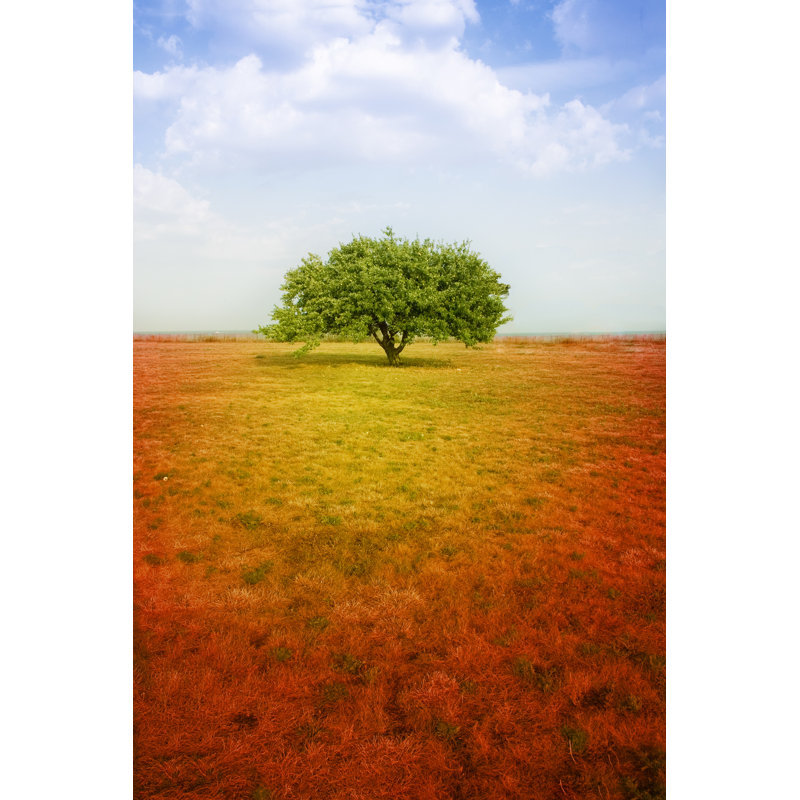 Tranquility by Nico_blue - Wrapped Canvas Print, 76cm H x 51cm W x 3.8cm D