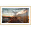 Lenticular Moment 2 Print by Mat Sanders