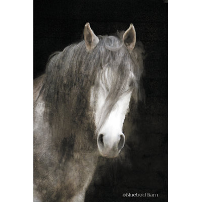 «Gypsy Vanner Mystique», impression sur toile tendue