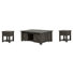 Corunna Rectangular Lift Top Cocktail Table With 2 End Table