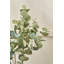 130cm Faux Eucalyptus Tree in Fibrestone Pot-1203865729