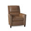 Roswell Recliner-1381990449-1381991697-1381991407