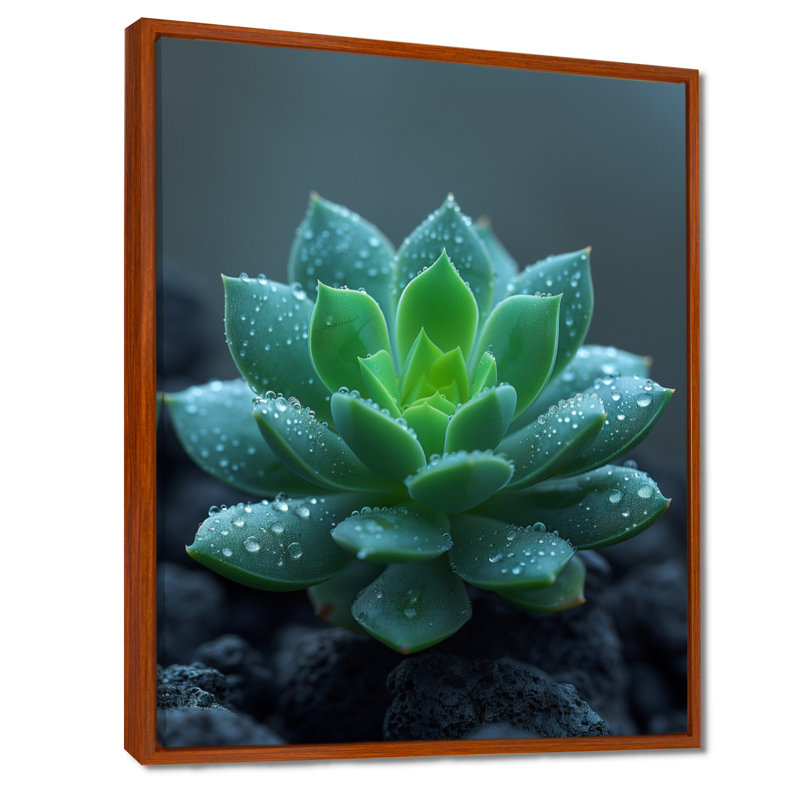 Gouttes de pluie vertes et grises sur un cactus du désert - décoration murale cactus floral, Toile avec cadre flottant brun