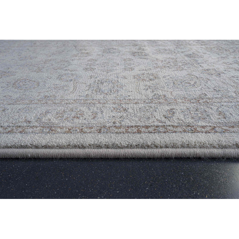 Meeks Oriental Area Rug, Runner 67 x 230 cm