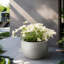 Pot à fleurs en ciment Highwoods-1168435962-1168435959