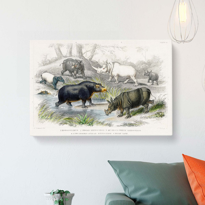 Hippopotamus And Rhinoceros by Oliver Goldsmith - Wrapped Canvas Painting, 35cm H x 50cm W x 3cm D