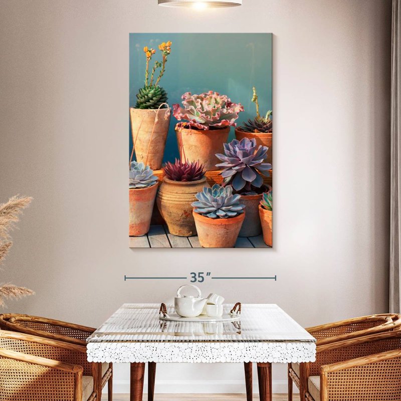 Plante grasse Harnek sur table, H 51 po x l 34 po