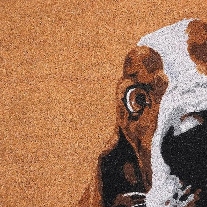 Tapis d'extérieur 29 po Red Coir Dog
