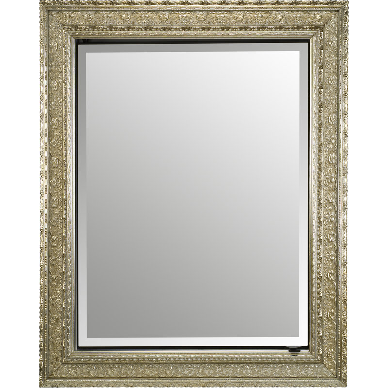 Miroir mural biseauté Holdrege, Argent antiquité royale, H 16 po l 22 po