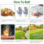 24X7.48X8.27IN Cages pliantes avec animal vivant
