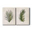 Palm Botanical I - Ensemble de 2 reproductions d'art-100410946-100234438-100234435