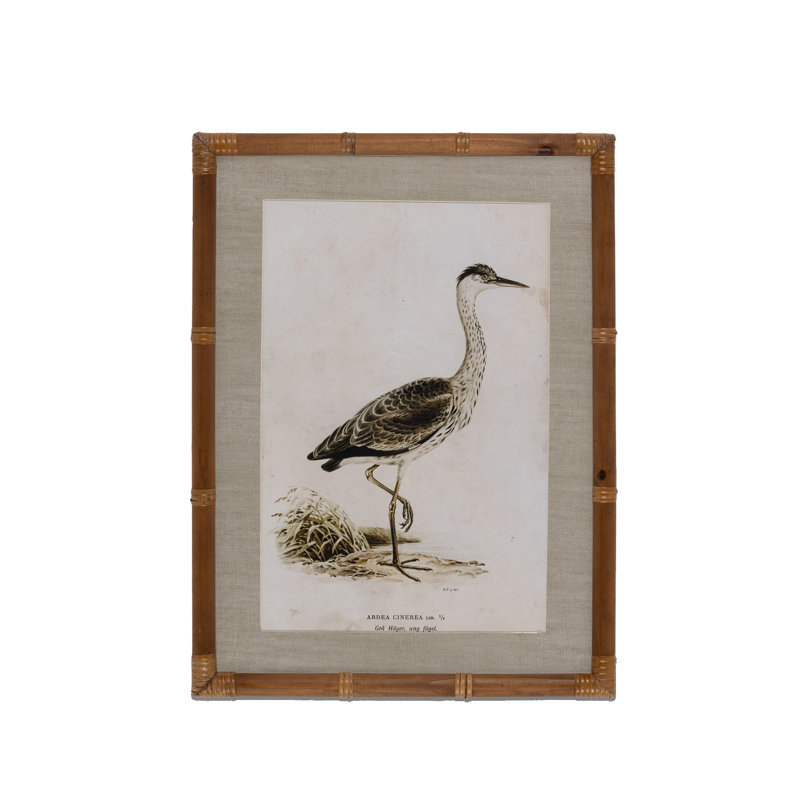 Wading Bird Prints, Set of 4