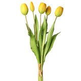 Tulip Arrangement