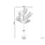 150cm Plant