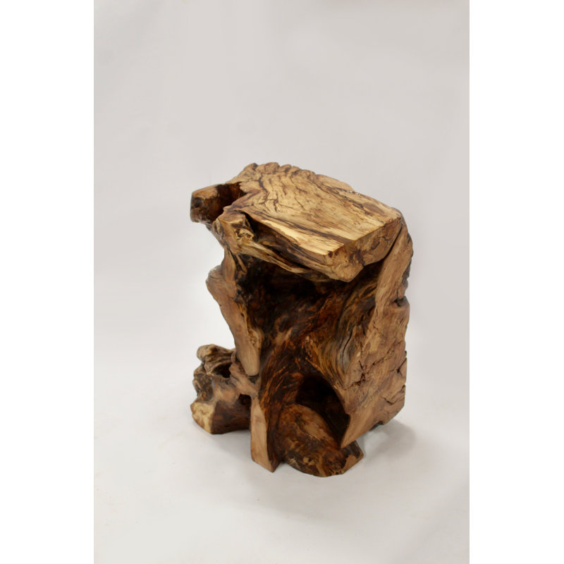 Table de bout Apple Tree Root