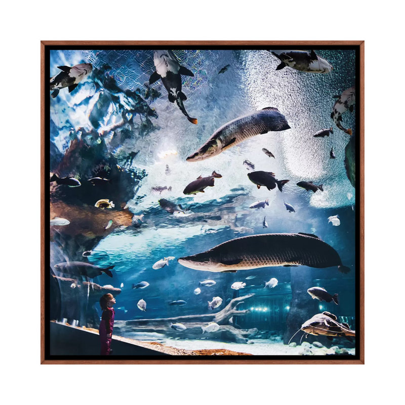 «Lost World» par Hobopeeba - reproduction, H 18 po x l 18 po x 1,5 po, Toile classique avec cadre brun, Pas de tapis