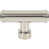 Polished Nickel