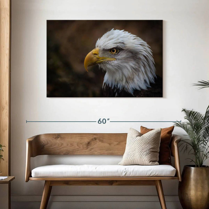 Aigle à tête blanche, H 30 po x l 45 po