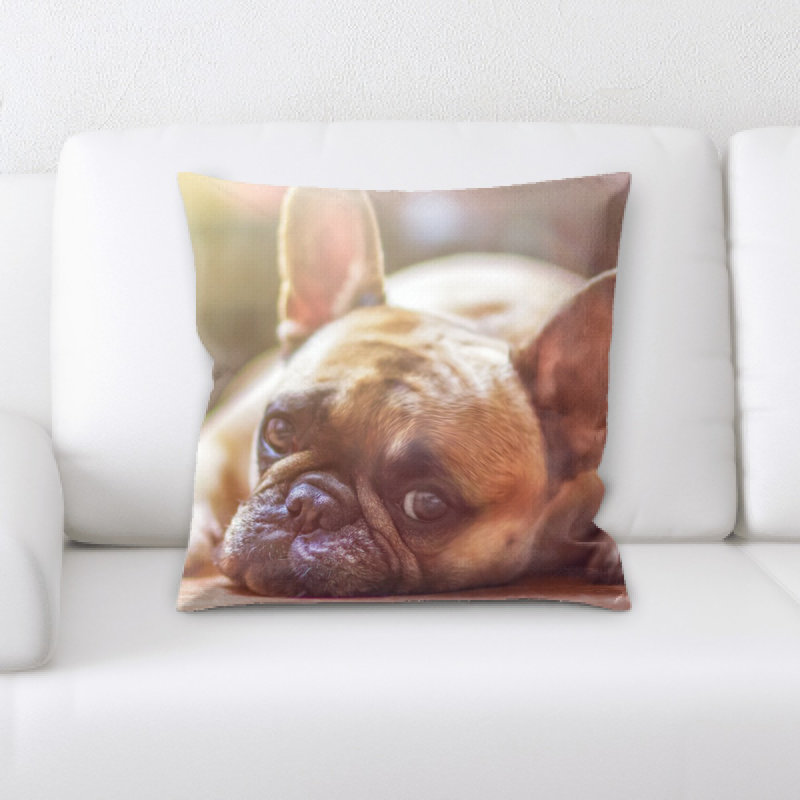 Coussin pour chien