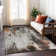 Machine Washable Indoor/Outdoor Claudian ACN1640 Gray Rug