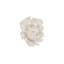 Topsy Turvy Succulent Wall Art-1124555451