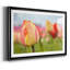Spring Sherbet, impression sur papier encadrée-582037541-582037540