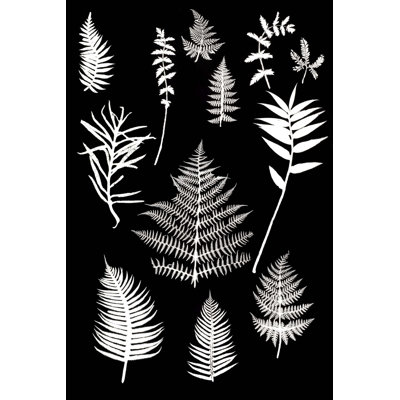 Botanical Collage 1 Print