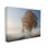 Sycomore Foggy Road par Rick Berk - photographie