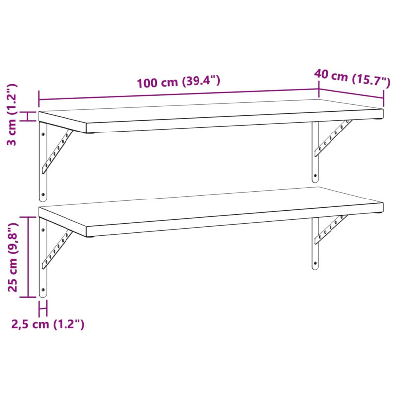 Antavion Stainless Steel Bracket Shelf, Silver, 3cm H x 100cm W x 40cm