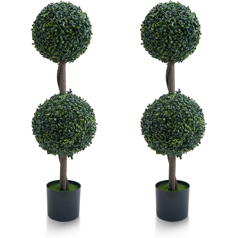 36cm Plant