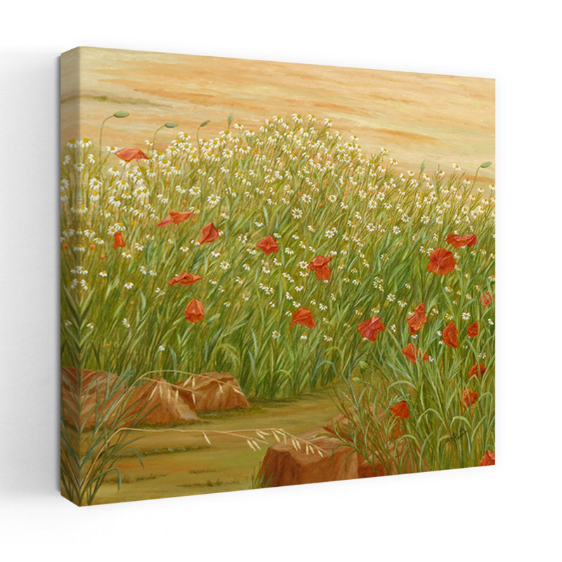 Été coquelicots champ de marguerites rustique abstrait contemporain fleur de coquelicot, H 36 po x l 36 po