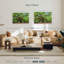 Vieux chêne-910151675-910151665