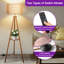 160cm Tripod Floor Lamp-1041632754