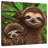 Brampt Sloth All Smiles-109358046