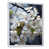 Cadre flottant blanc