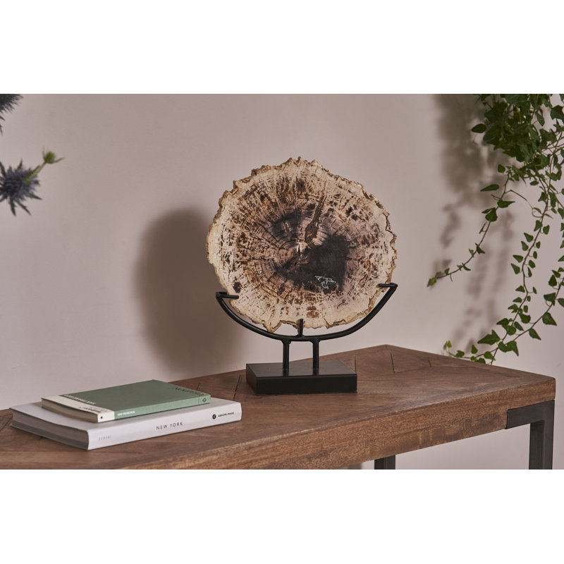 Petrified Wood Chopping Board Décor