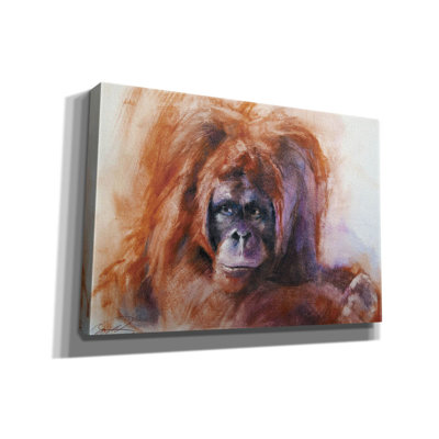 'The Daydreamer Orangutan' by Robert Campbell, Canvas Wall Art