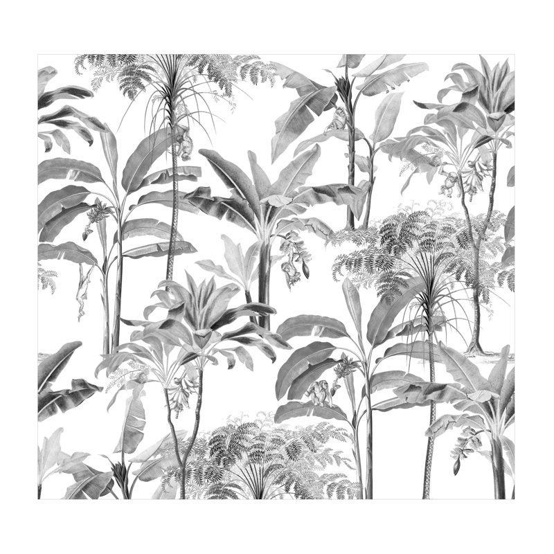 Demartino 3m x 2.8m Matte Wall Mural