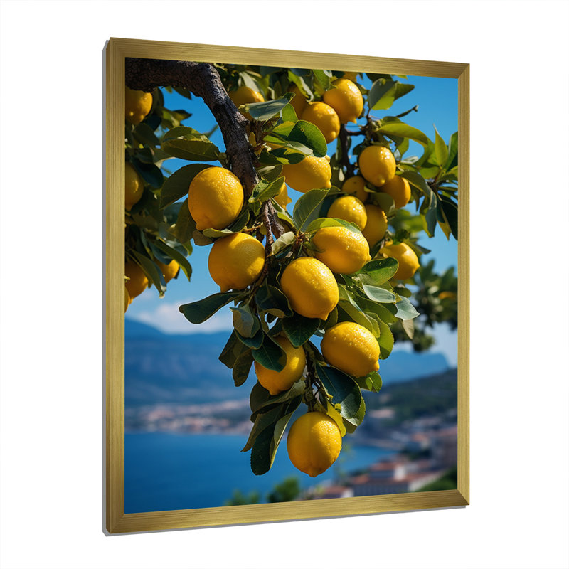 Italie Italie Sorrento Serenade II - impression, H 32 po x l 24 po x P 1 po, Encadrement doré