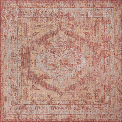 Outdoor Nile Area Rug Rust Color