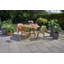 Patio Dining Side Chair